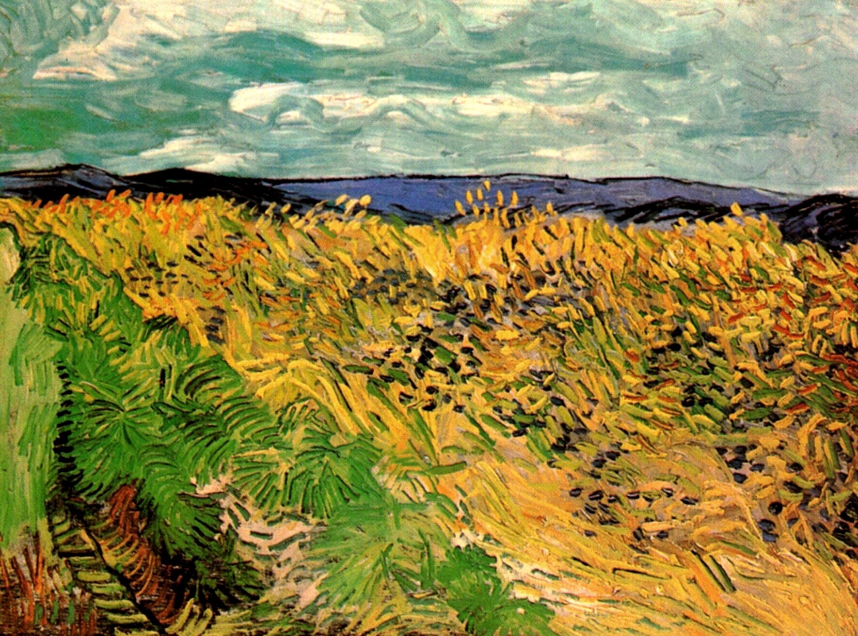 Картина Ван Гога Пшеничное поле с васильками 1890